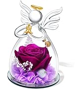 SITUMEIZI Christmas Rose Gifts for Women,Birthday Gifts for Women Mom,Preserved Rose in Glass Ang...