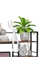 desk shelves