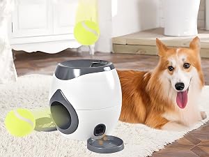 https://m.media-amazon.com/images/S/aplus-media-library-service-media/ff35fab6-8ff0-4bbe-9f57-d93c47aa002b.__CR0,800,3200,2400_PT0_SX300_V1___.jpg