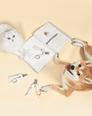 DOG NAIL