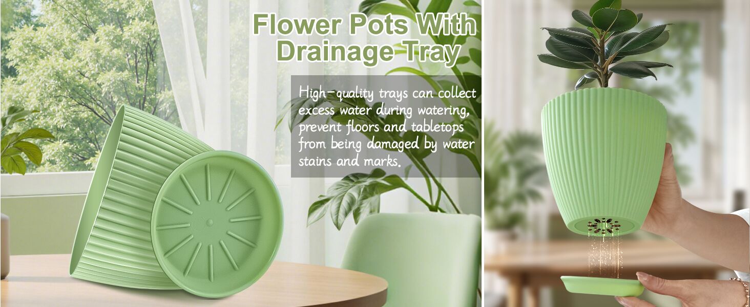 green plant pot
