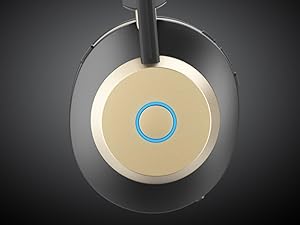 Call button/Charge indicator