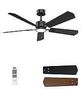 ceiling fan with light