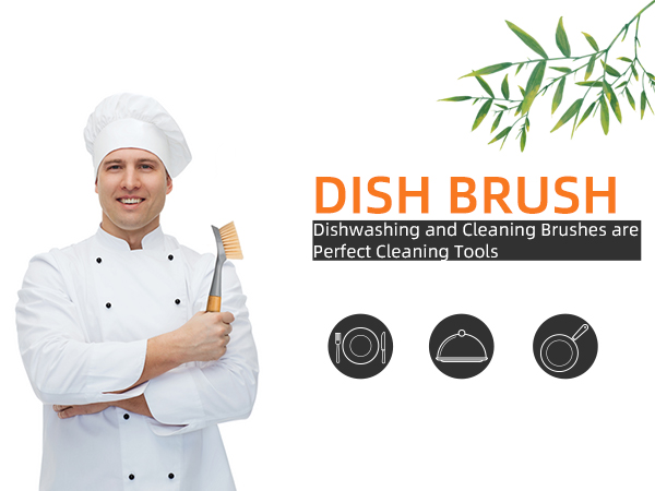 Dish Brush is Your perfect Dish Cleaning Tools