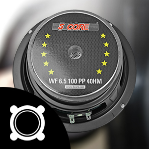 6.5 Inch Subwoofer