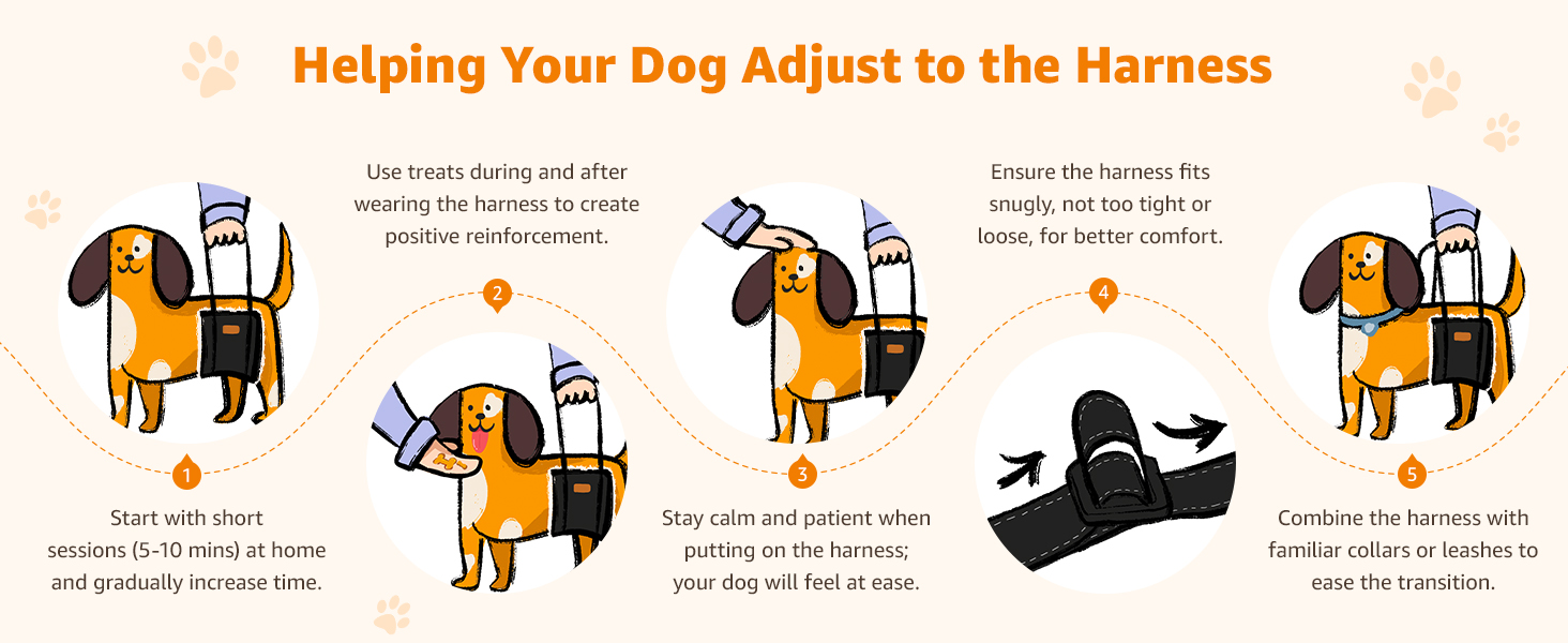 dog harness