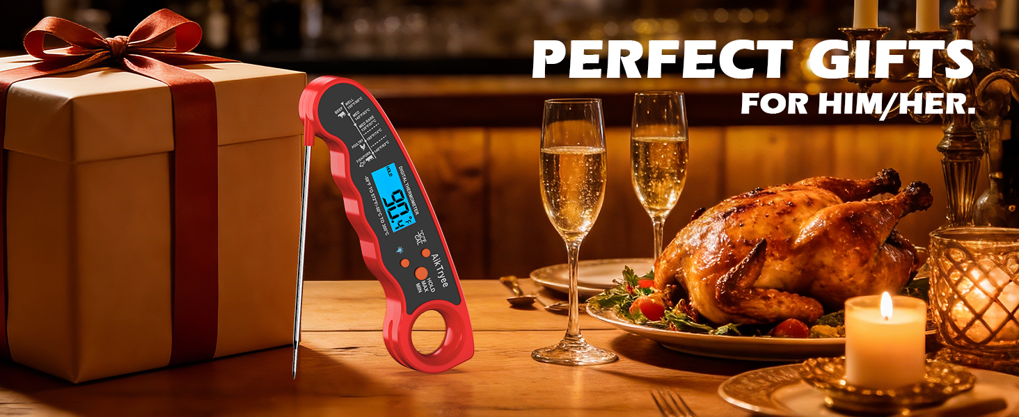 grill thermometer for outside grill