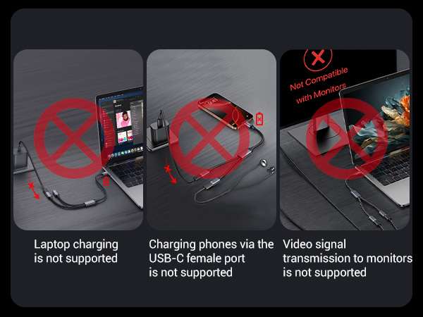 USB-C to USB-C Splitter
