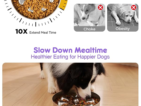 slow feeder dog bowls