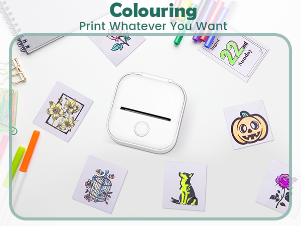 mini thermal printer