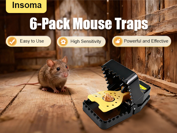 mouse trap-11