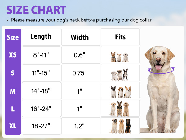 nylon dog collar