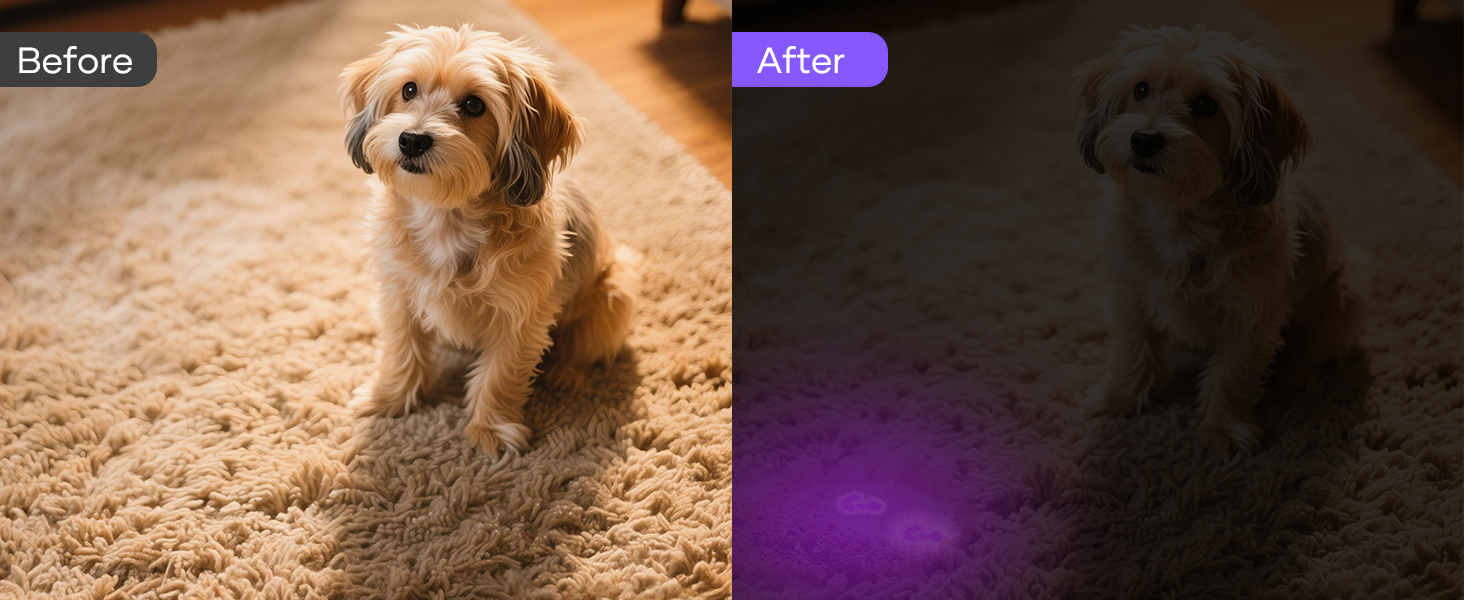 blacklight flashlight