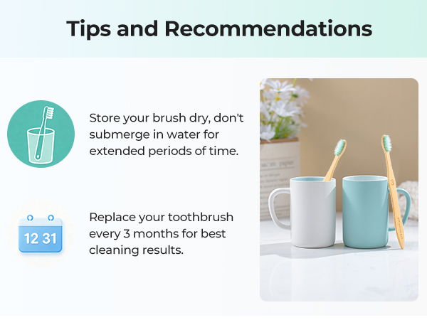 tooth brushes soft adult