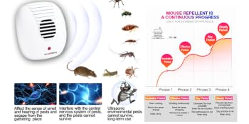 continuos process