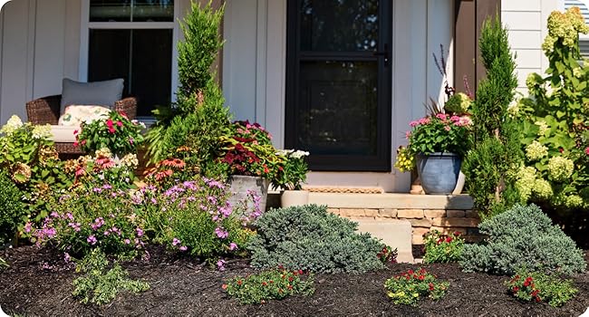 Picture of ornamentals and garden beds in front of home.