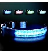 LED Dog Collar Rechargeable, Brightest Light Up Dog Collars, Daisy L | 1,600 Feet of High Visibil...