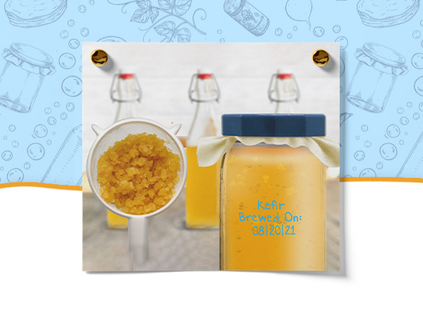 utensils mixing rinse jun makers cleanse extract colenders seperator jugo juice living sieves change