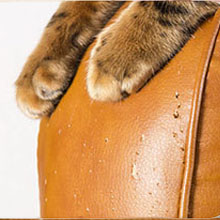 2026 New Ultra Quiet Pets Nail Grinder