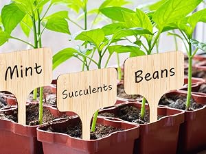 Bamboo Plant Labels