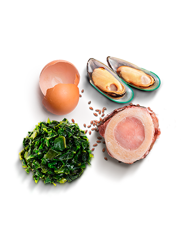 pet product ingredients