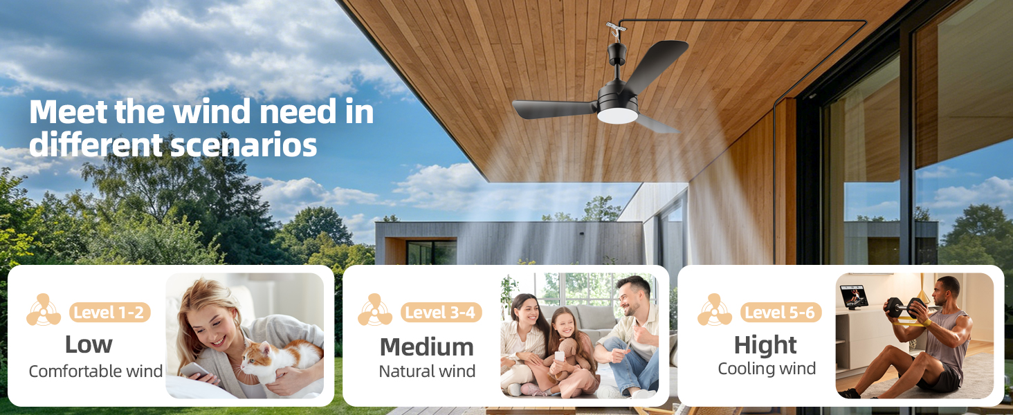 Outdoor Ceiling Fan with Light