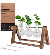 SAMEBUTECO Plant Terrarium with Wooden Stand,Propagation Stations for Plant C Shape Metal Swivel ...