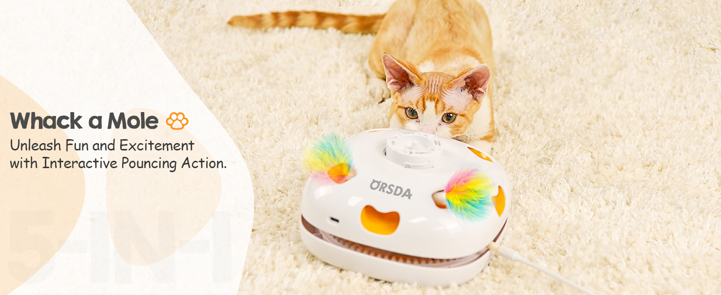 cat toys interactive