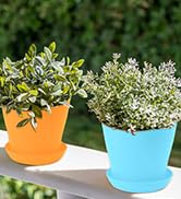 Bluckincle 4.7 Inch Plant Pots Indoor Outdoor, 8 Pack Colorful Plant Flower Pots with Drainage Ho...