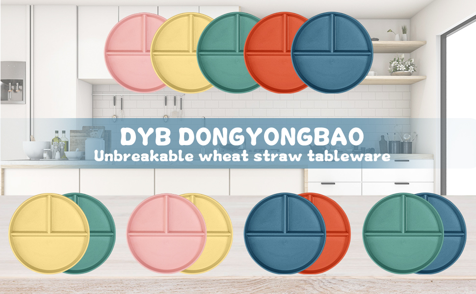 DYB DONGYONGBAO Round Portion Control Plates