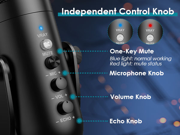 home recording microphone