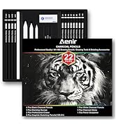 Charcoal Pencils for Drawing, Set of 22, Professional Drawing Sketch Pencils, Art Supplies for Dr...