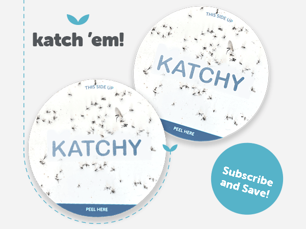 katch em all