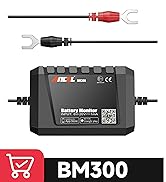 BM300