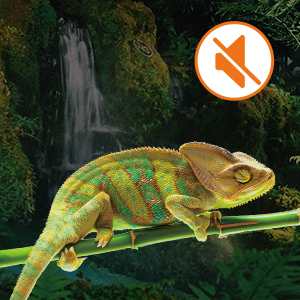 reptile humidifiers