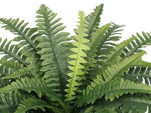 artificial ferns for outdoors large