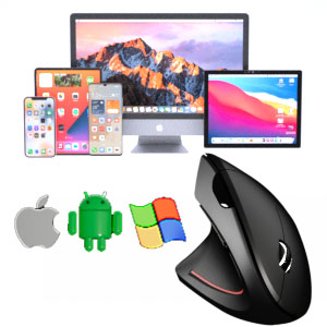 Compatible with multiple operating systems