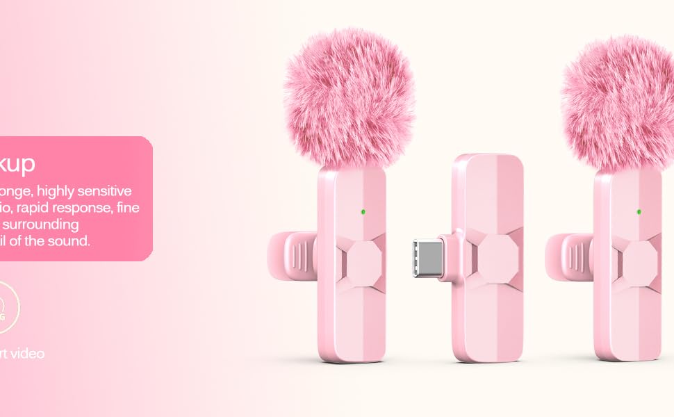 wireless mini mic
