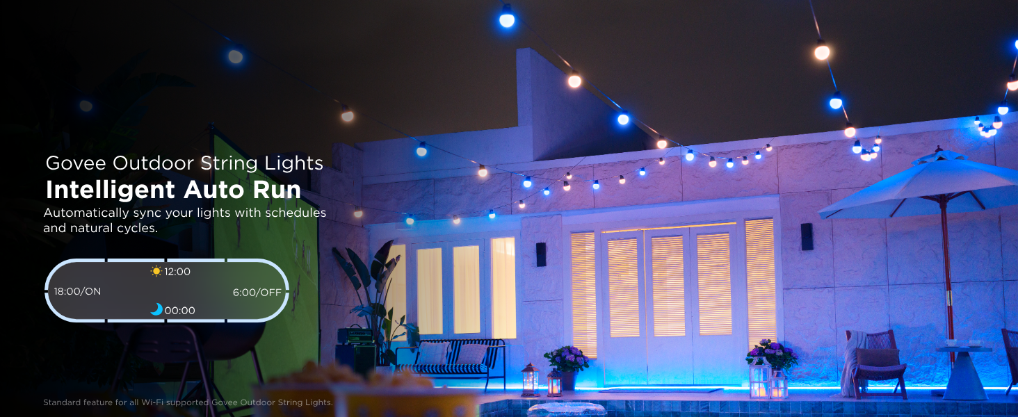 Govee outdoor string lights