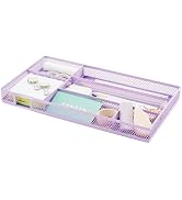 Annova Desk Drawer Organizer/Storage Tray - Metal Mesh with Dividers for Pens, Desktop Accessorie...