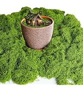 CXIIPOL 15.1 OZ Fake Green Moss for Crafts, Artificial Moss for Indoor Plants, Decorative Light G...