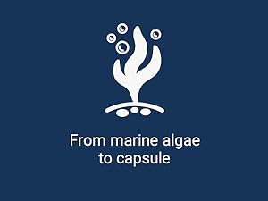 calcium tablets supplements
