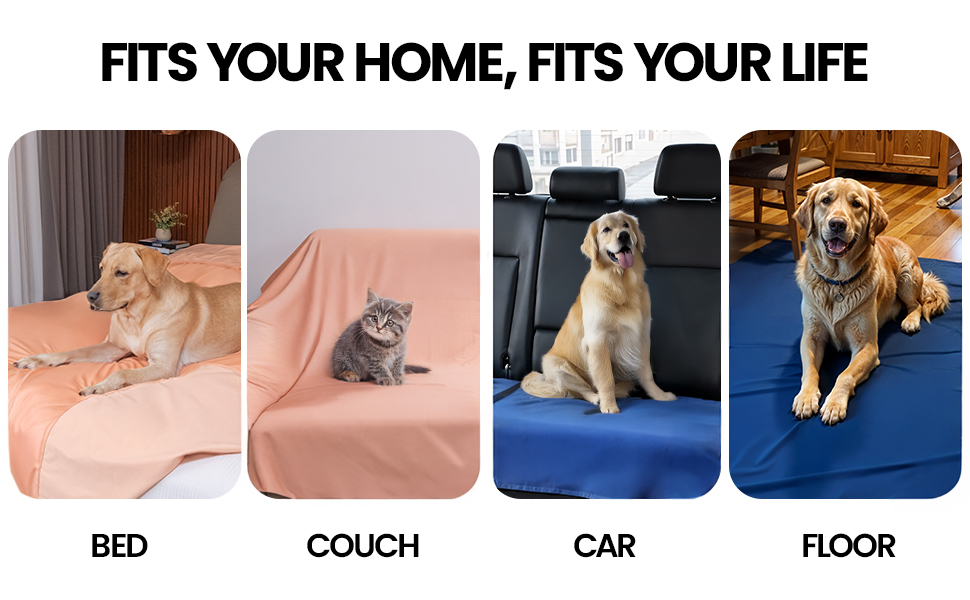 Waterproof blanket for many uses