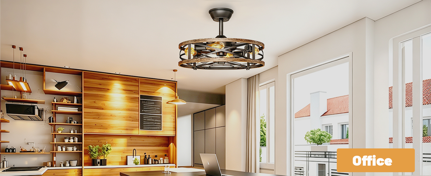 caged ceiling fan for office