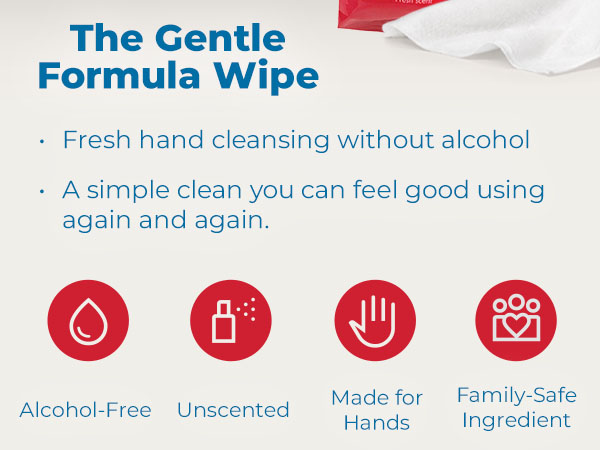 Diamond Wipes WipeEssentials Sanitizing Wipes