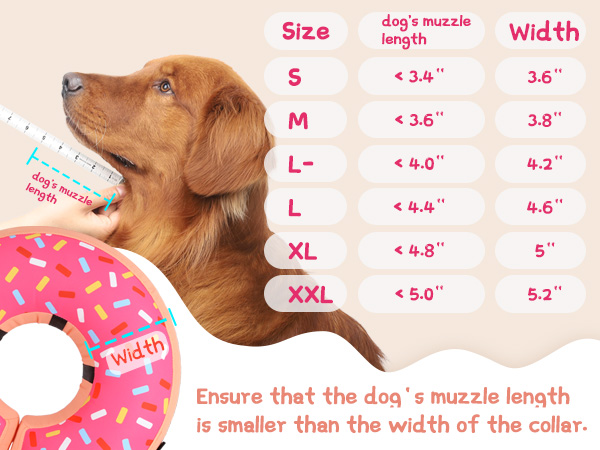 dog donut collar