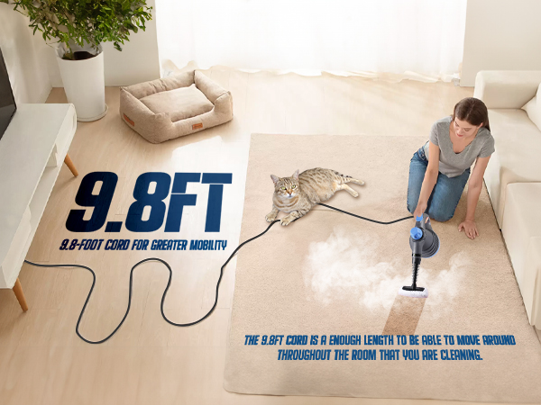 upholstery steam cleaner