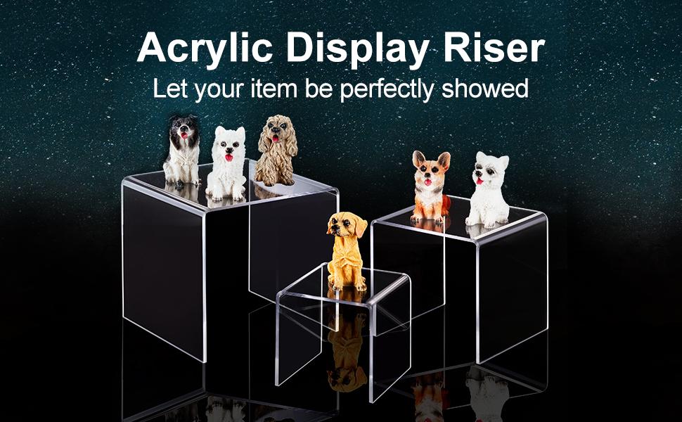 acrylic display riser stand