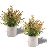 Coferset 2 Pack Fall Small Fake Plants Eucalyptus Potted Fall Artificial Plants Fall Decorations ...