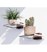 QsQueen Acrylic Floating Shelves with Solid Wood Base, Wall Mounted Shelf for Plants, Perfume, Na...